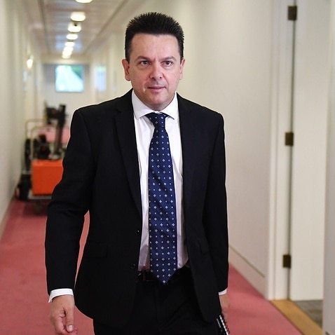 broadcasting parliament shake laws pass xenophon sbs senate reform supporting defends ahead vote package