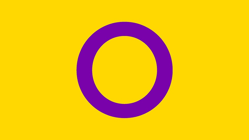 The intersex flag was created by Morgan Carpenter of Intersex Human Rights Australia in 2013.