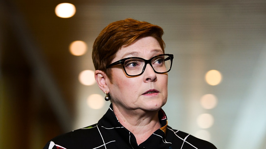 Image for read more article 'Compensation for women invasively searched at Doha airport a matter for Qatar, Marise Payne says '