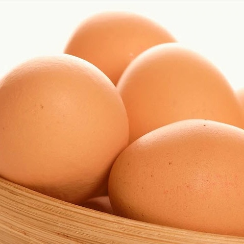 An outbreak of salmonella infection has prompted the recall of eggs from Glendenning Farms