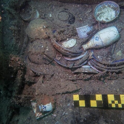 A shelf filled with dinnerware underwater in a shipwreck