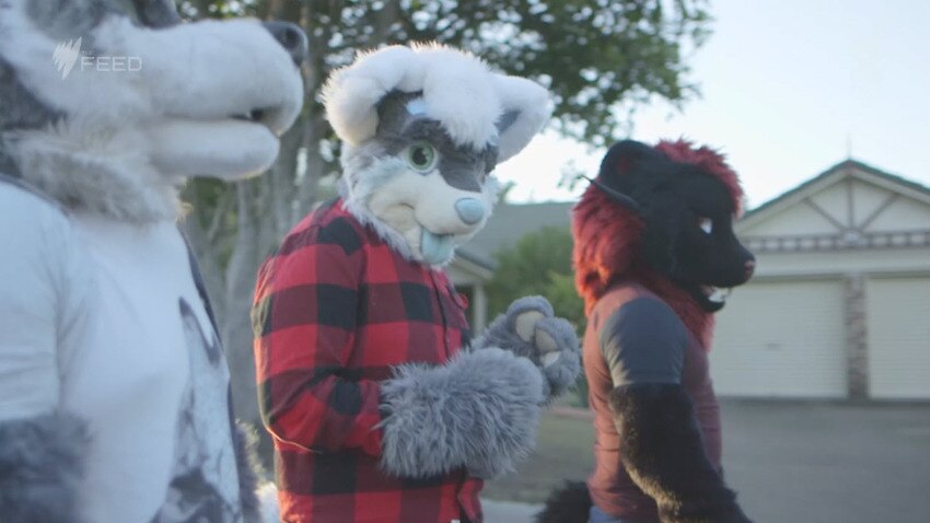 Its Just A Group Of People Enjoying Life The Culture Of Furries 4232