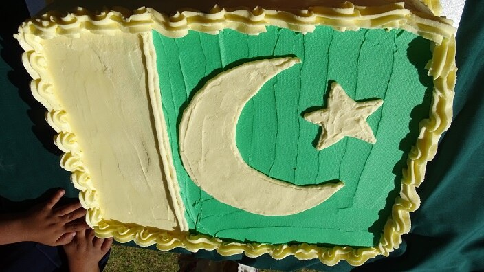 Pakistan flag cake