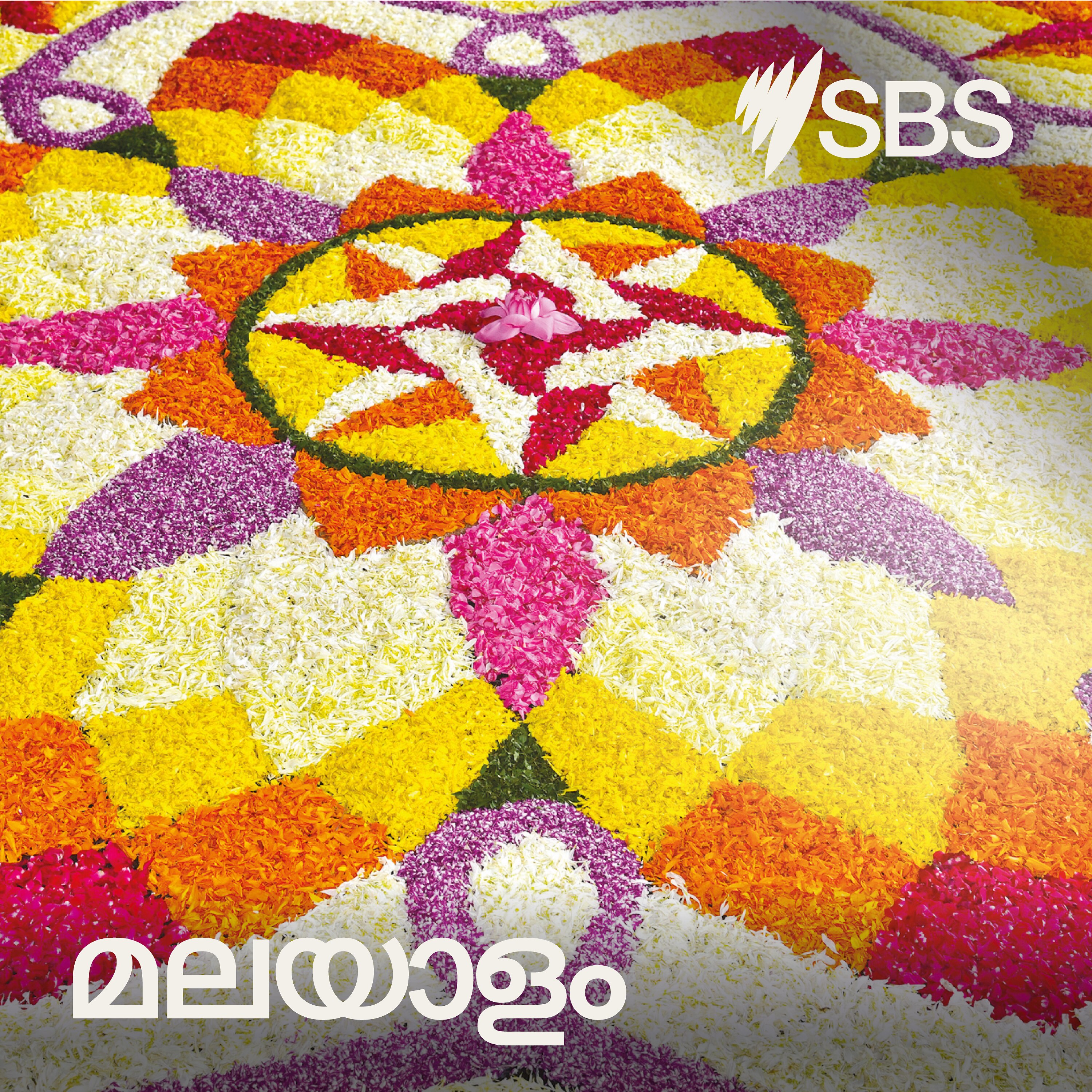 Sbs Language Sbs Malayalam