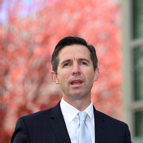 Trade Minister Simon Birmingham speaks during a press conference at Parliament House in Canberra.