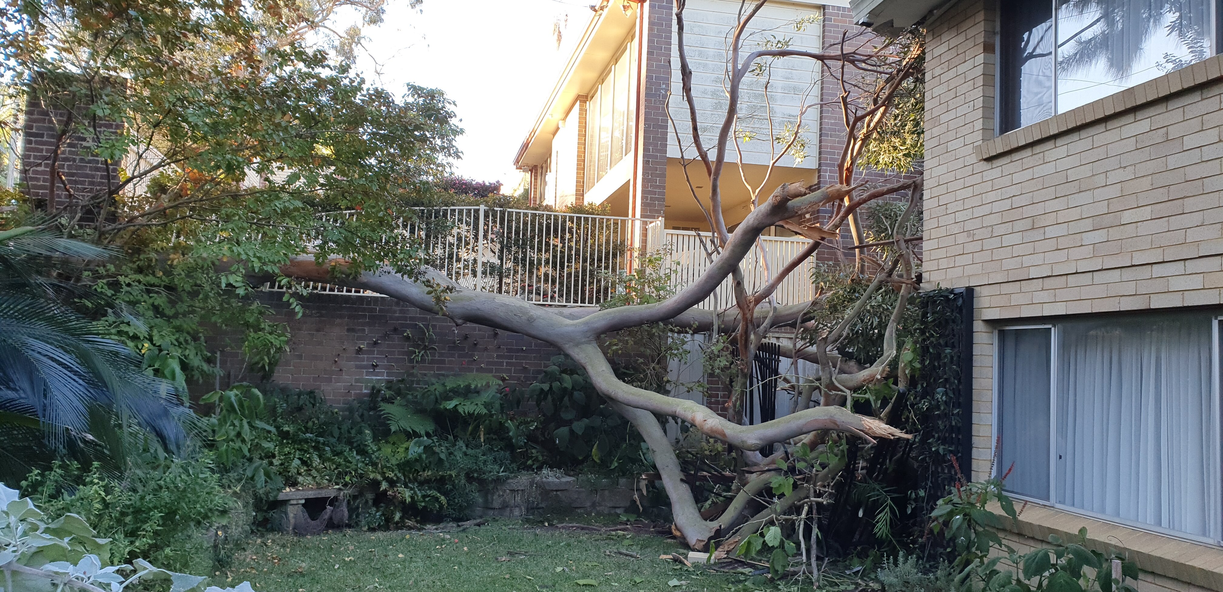 A partially fallen tree hit the end of the house in the area of Greys Point, Sydney, May 2019.