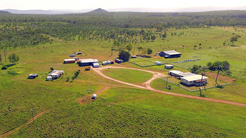 Delayed sale of Palmer Qld cattle station | SBS News