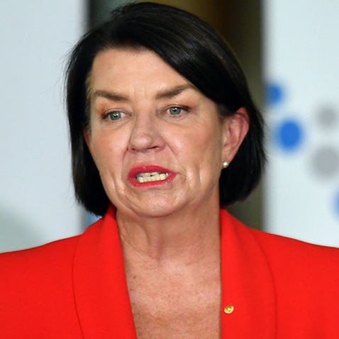 Australian Banking Association CEO Anna Bligh at a press conference in response to the releasing of the Banking Royal Commission findings at Parliament House in Canberra, Monday, February 4, 2019. (AAP Image/Mick Tsikas) NO ARCHIVING