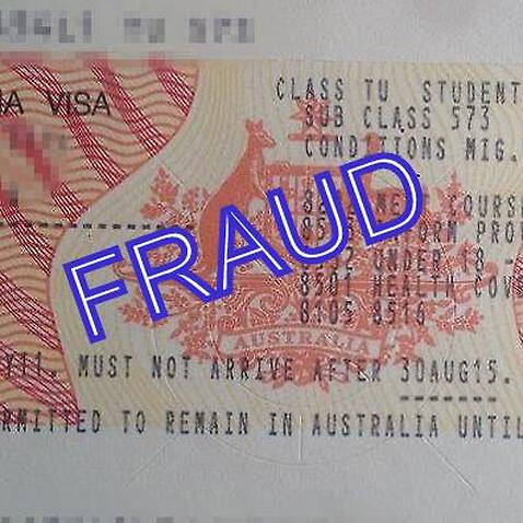 Visa fraud