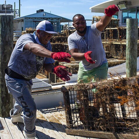 Florida Lobster Got a Break on China Tariffs. Then Came Coronavirus.