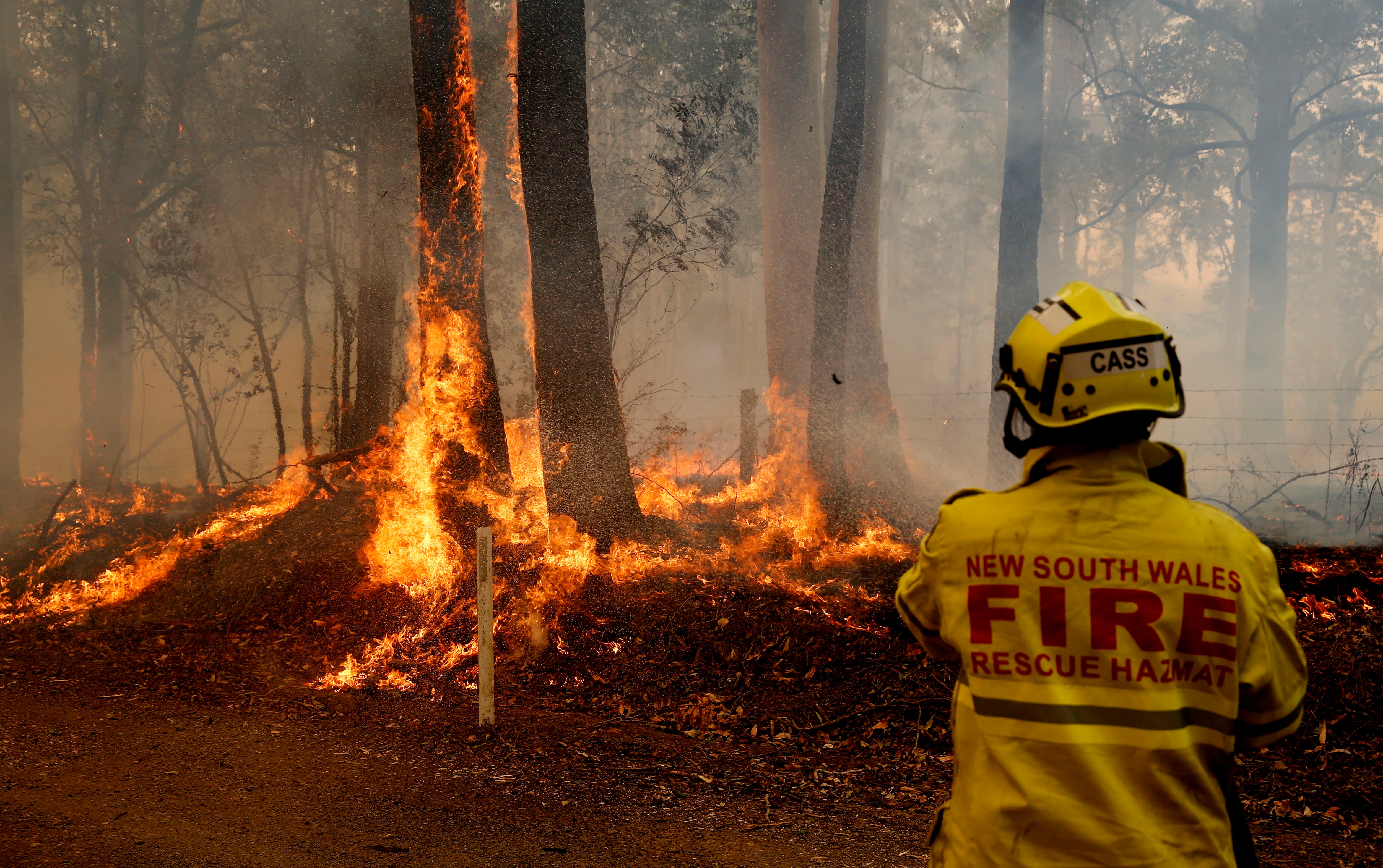 A Gloucester firefighter battles flames at Koorainghat, near Taree on NSW's mid-north coast.
