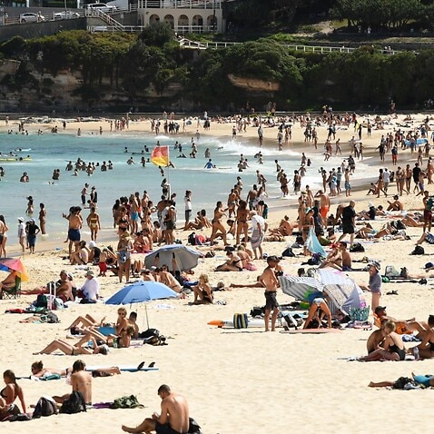 Beachgoers cool off in the water at Bondi Beach in Sydney