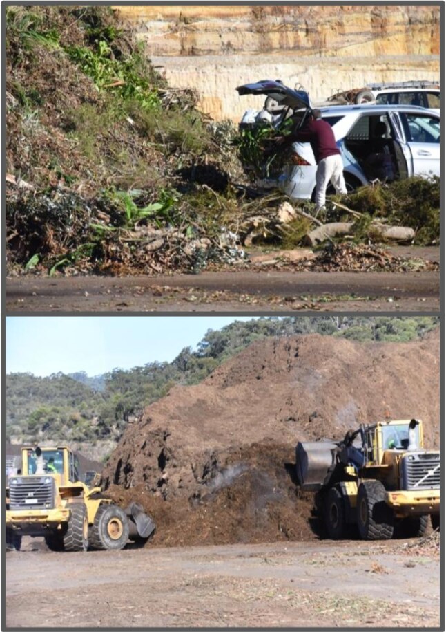 上：為用綠色垃圾生產堆肥現場 下：推土機在翻堆增氧  