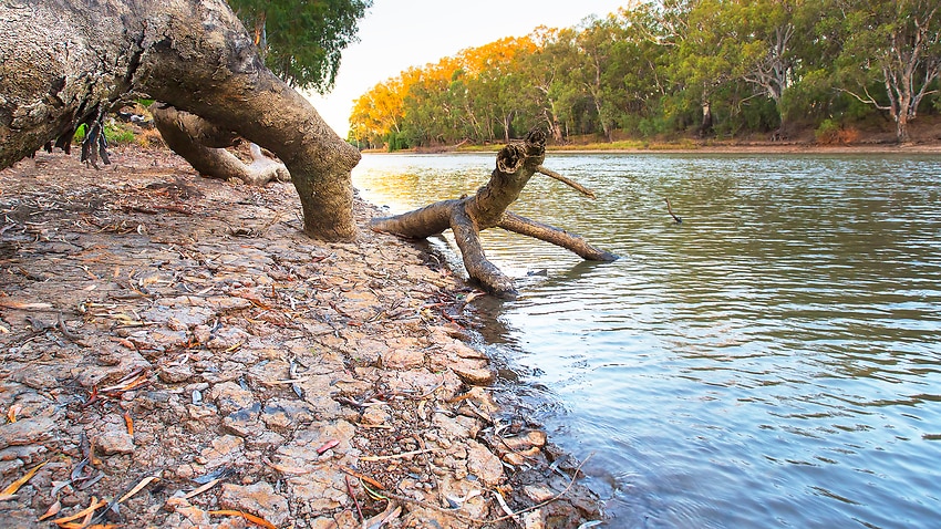 Climate change key to new basin research - SBS News