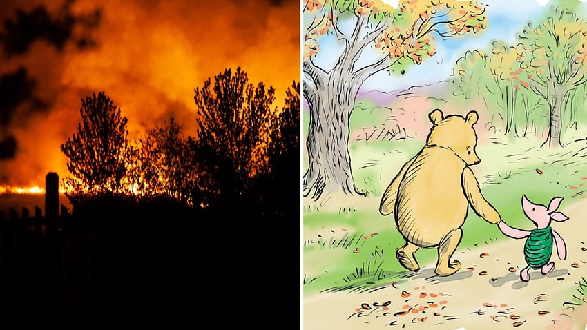 Image result for Fire breaks out in woods that inspired Winnie the Pooh stories