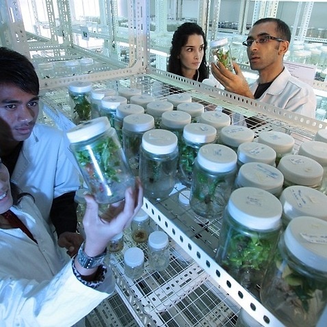 scientists in the laboratory