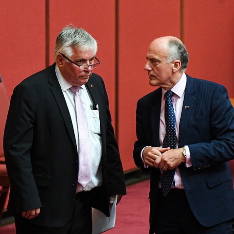 Crossbench Senator Rex Patrick (left) speaks to Liberal Senator Eric Abetz during Senate business at Parliament House in Canberra, Monday, November 30, 2020. (AAP Image/Lukas Coch) NO ARCHIVING