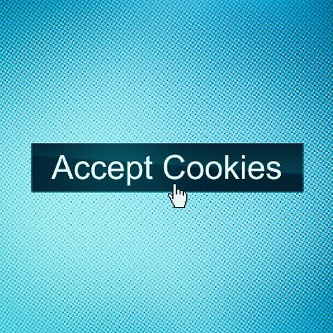 Should I accept computer cookies