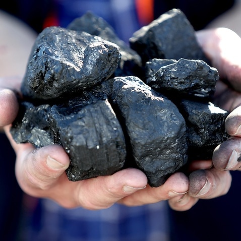 Pieces of coal in Adelaide