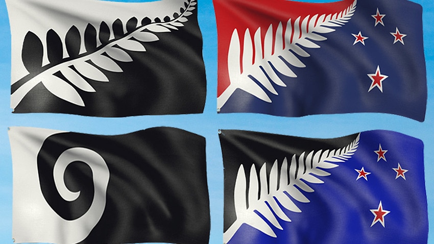 Alternative Nz Flags To Fly In Wellington Sbs News