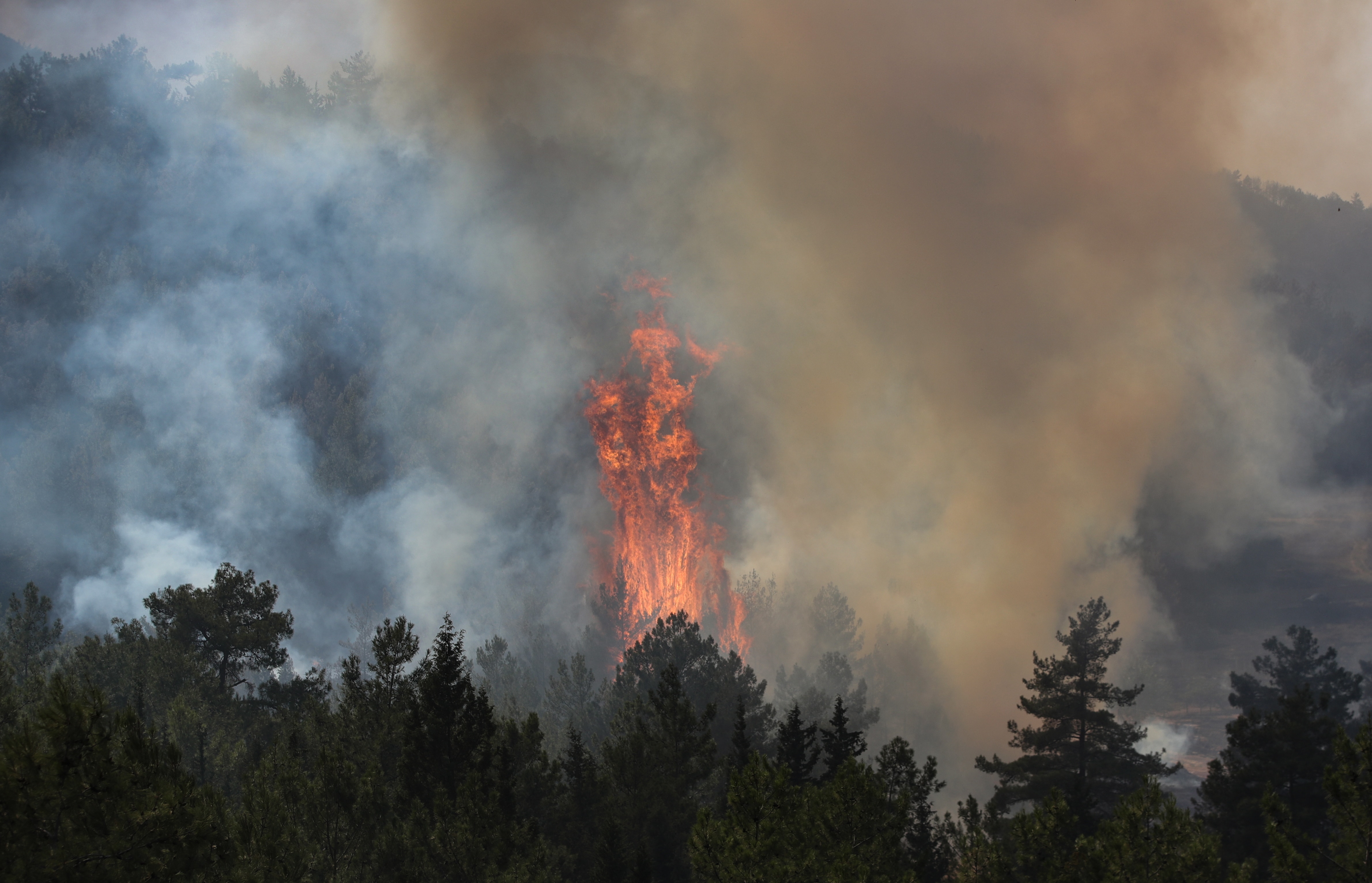 A view of a wildfire burning at a rural area of Marmaris district of Mugla, Turkey, 31 July 2021