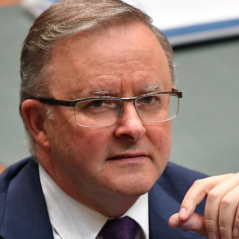 anthony albanese labor cent mistake emissions target per says sbs exports backs coal queensland ahead australian tour