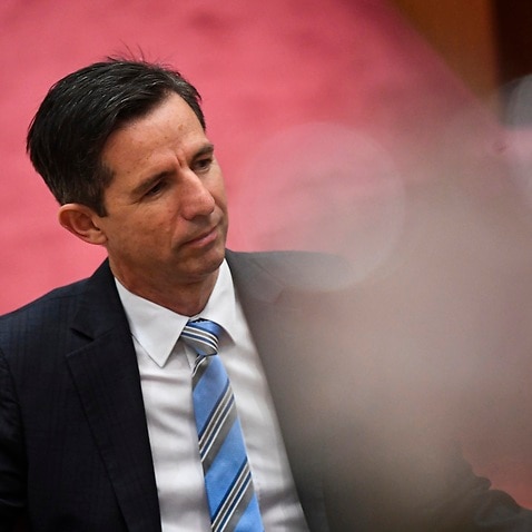 The leader of the government in the Senate Simon Birmingham reacts during Senate business at Parliament House in Canberra, Monday, November 30, 2020. (AAP Image/Lukas Coch) NO ARCHIVING
