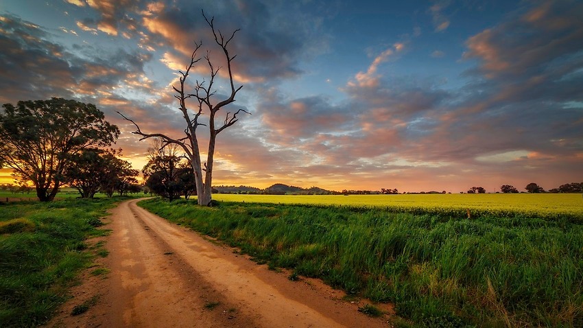 Image for read more article 'Snap lockdown for NSW Cowra region while Victoria's daily case numbers keep growing'