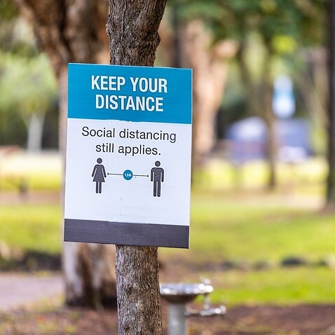 نشانه فاصله‌گذاری اجتماعی روی درخت یک پارک تفریحی