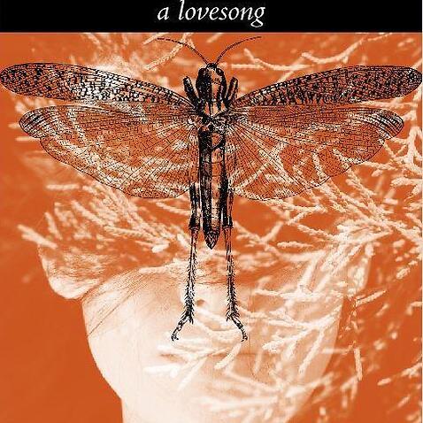 Locust Girl book cover