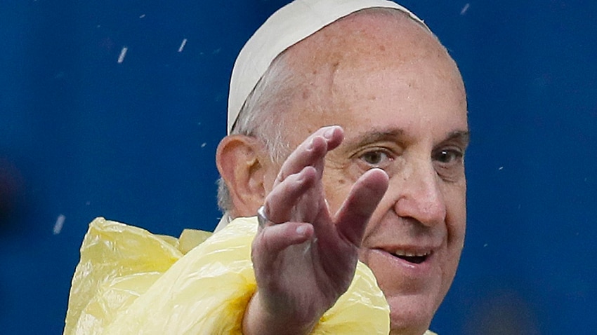Pope Upsets German Rabbit Breeders Sbs News