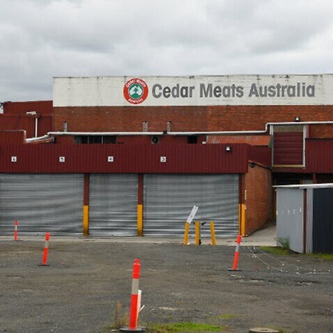 Melbourne meatworks coronavirus cluster grows as 11 more people test positive