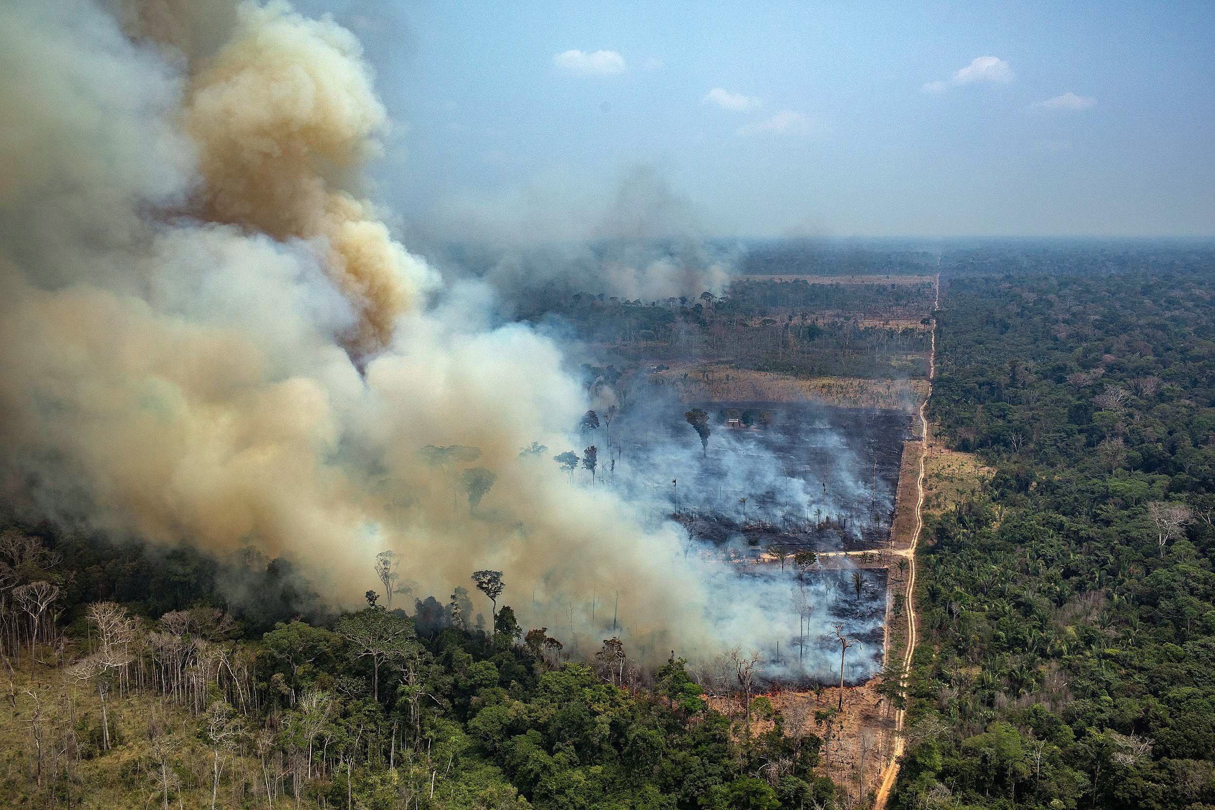 Brazil's army fights Amazon fires after hundreds more flare up SBS News