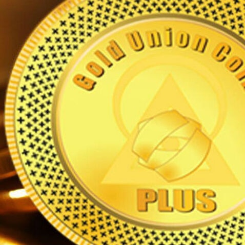 Plus Gold Union Coin
