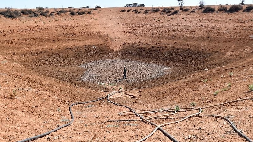 SBS Language | It’s Going Be A Long, Hot, Dry Summer For Australia