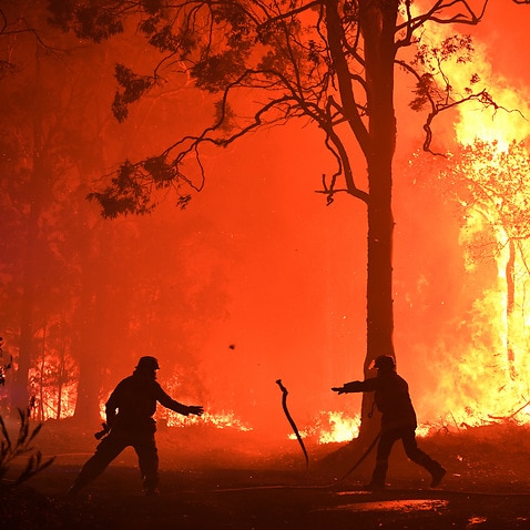 bushfires bushfire extinction hundreds reached hears haze killed