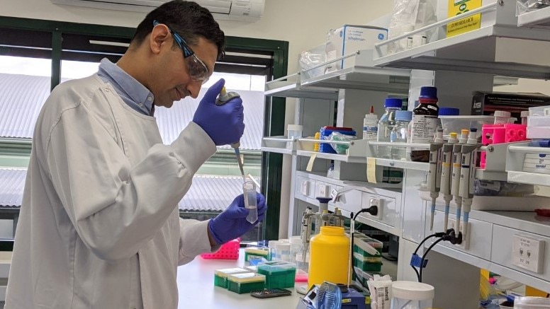 Dr Yadveer Grewal working in his laboratory at XING Technologies, Brisbane. 