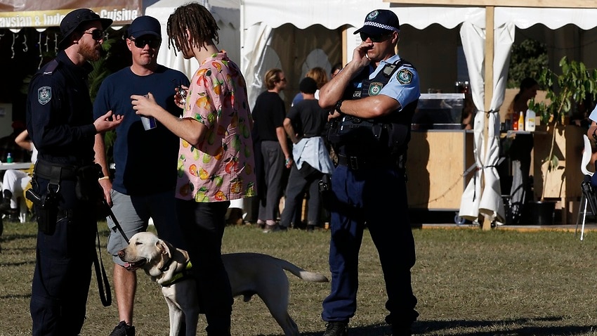A police sniffer dog squad speak to a festival goer during Splendour In the Grass.