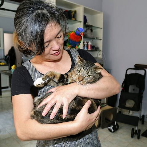 Yoshiko Ito Pet rescue volunteer