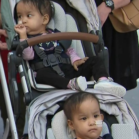 Scientists Find Second Set of Semi-Identical Twins