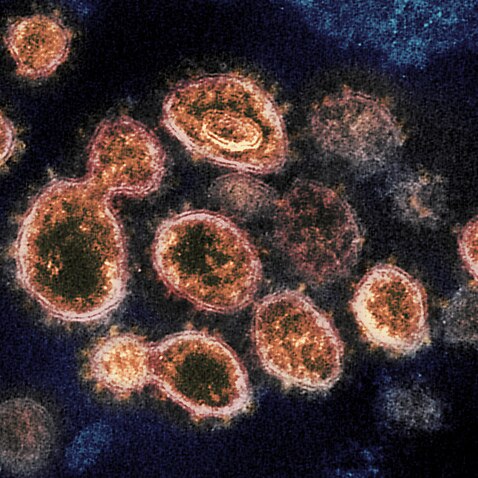昆州再錄得一宗感染南非變種新冠病毒個案