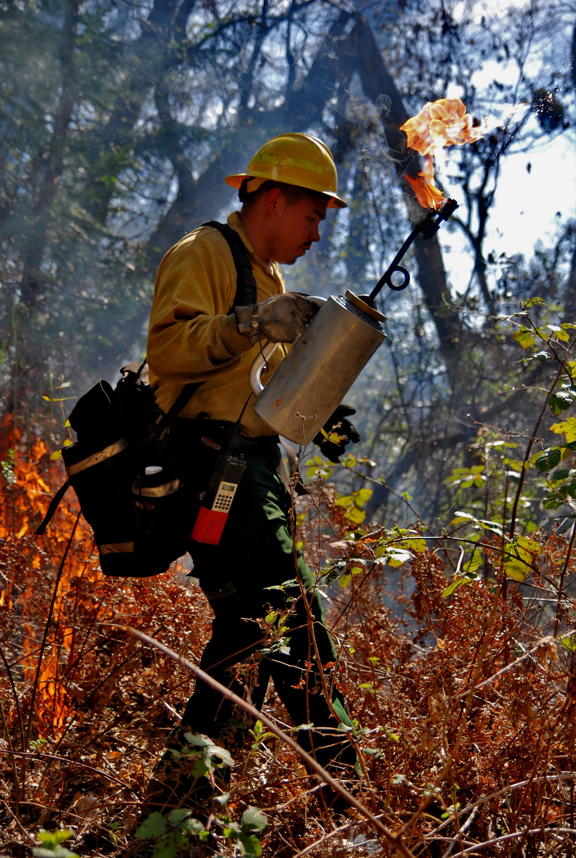 The Yurok Tribe has its own fire department. The Yurok Tribe cultural burning.