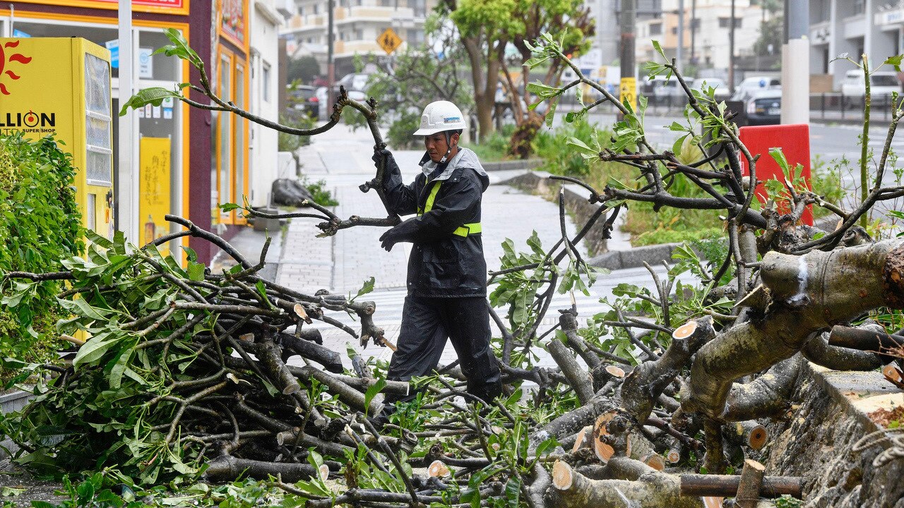 A worker clears branches of a fallen tree affected by a typhoon in Naha, Okinawa prefecture, southern Japan.