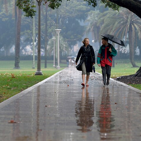 Pedestrians hold umbrellas as they walk in heavy rain in Sydney 