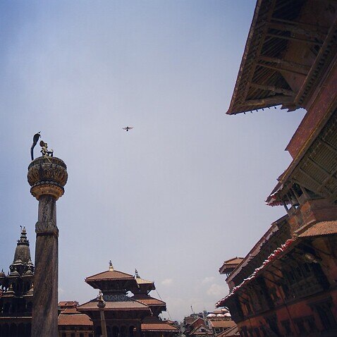 Birds Kathmandu