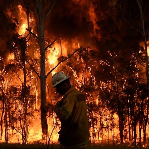 NSW Rural Fire Service firefighters fight a fire