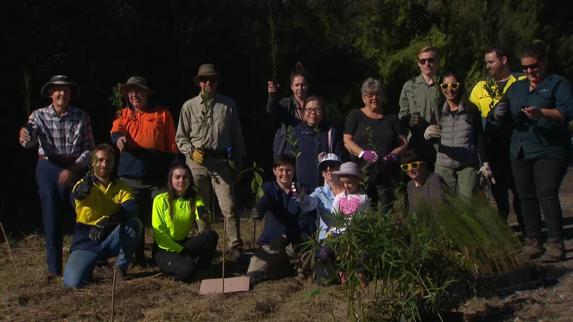 Tree planting events were held across Australia to mark World Environment Day.
