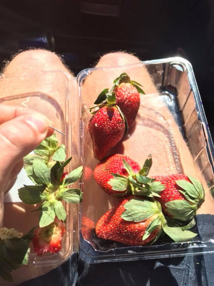 A man posted a picture of the needle he found in a strawberry punnet.