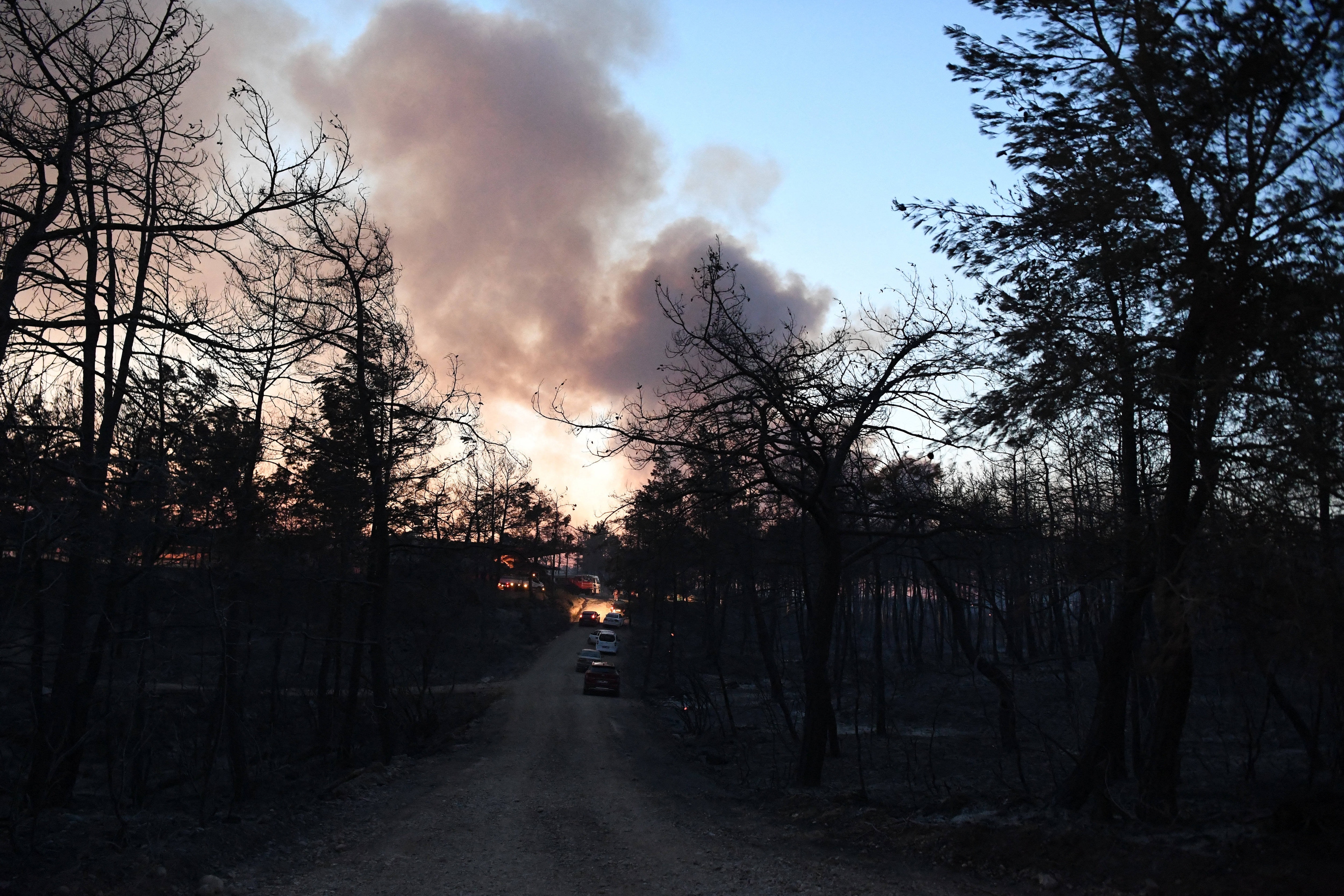 Burned remains at the Ulukapi Sulek village near the Manavgat region in Antalya.