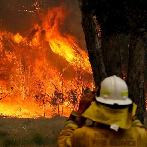 firefighter with bushfire 